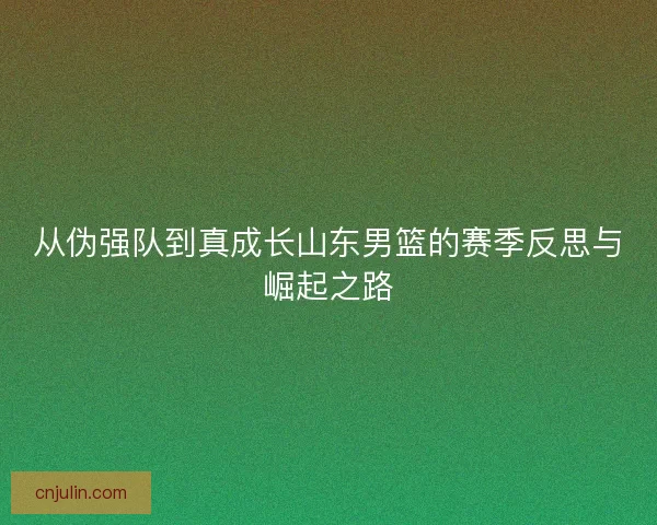 从伪强队到真成长山东男篮的赛季反思与崛起之路