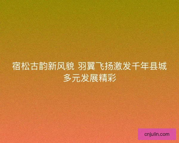 宿松古韵新风貌 羽翼飞扬激发千年县城多元发展精彩