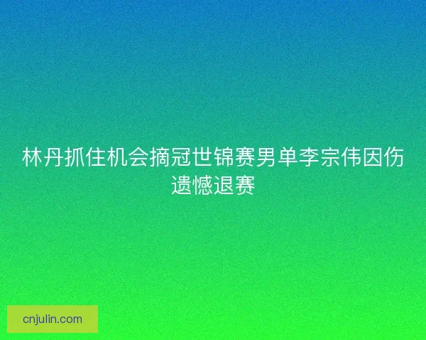 林丹抓住机会摘冠世锦赛男单李宗伟因伤遗憾退赛